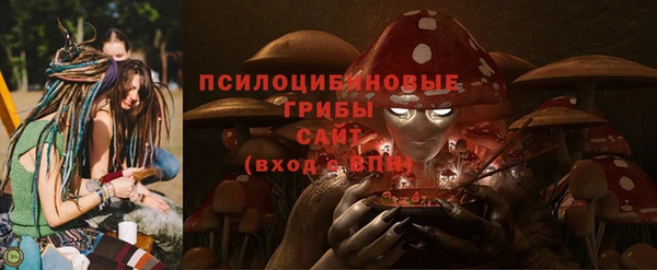 хмурый Ладушкин